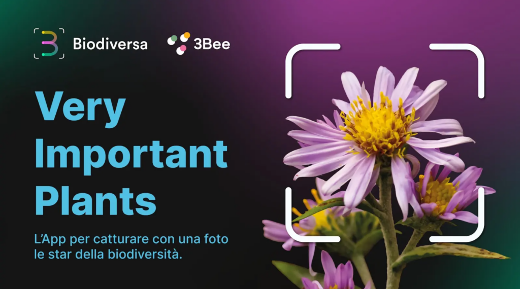 3Bee App Biodiversa